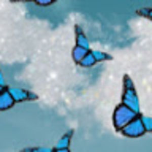 Meet your Posher, Jenyeliz